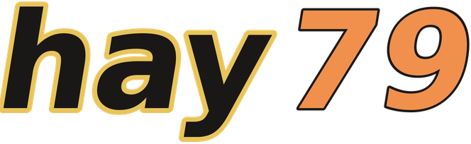 hay79 logo